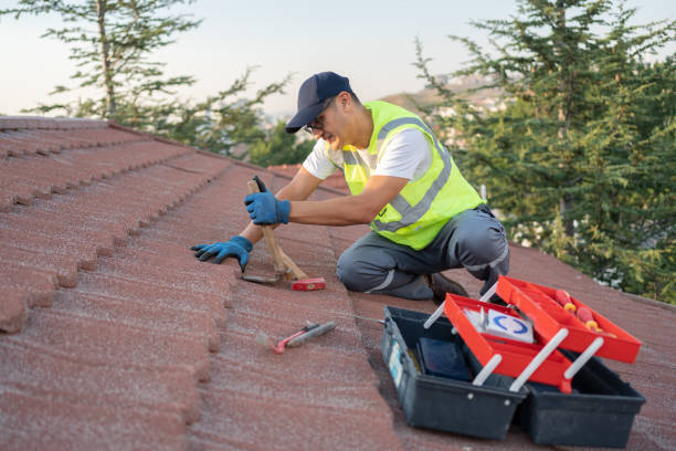 Best Roof Gutter Cleaning  in St James City, FL